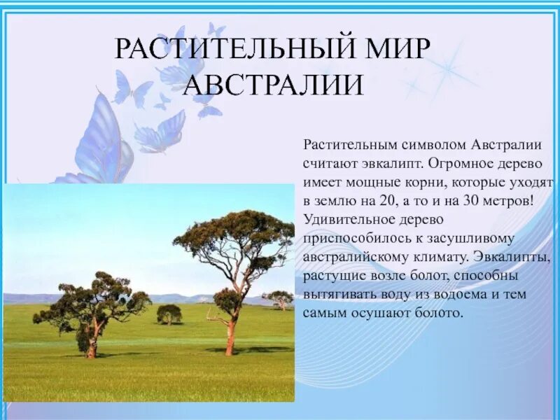 Сообщение о растительном и животном мире земли