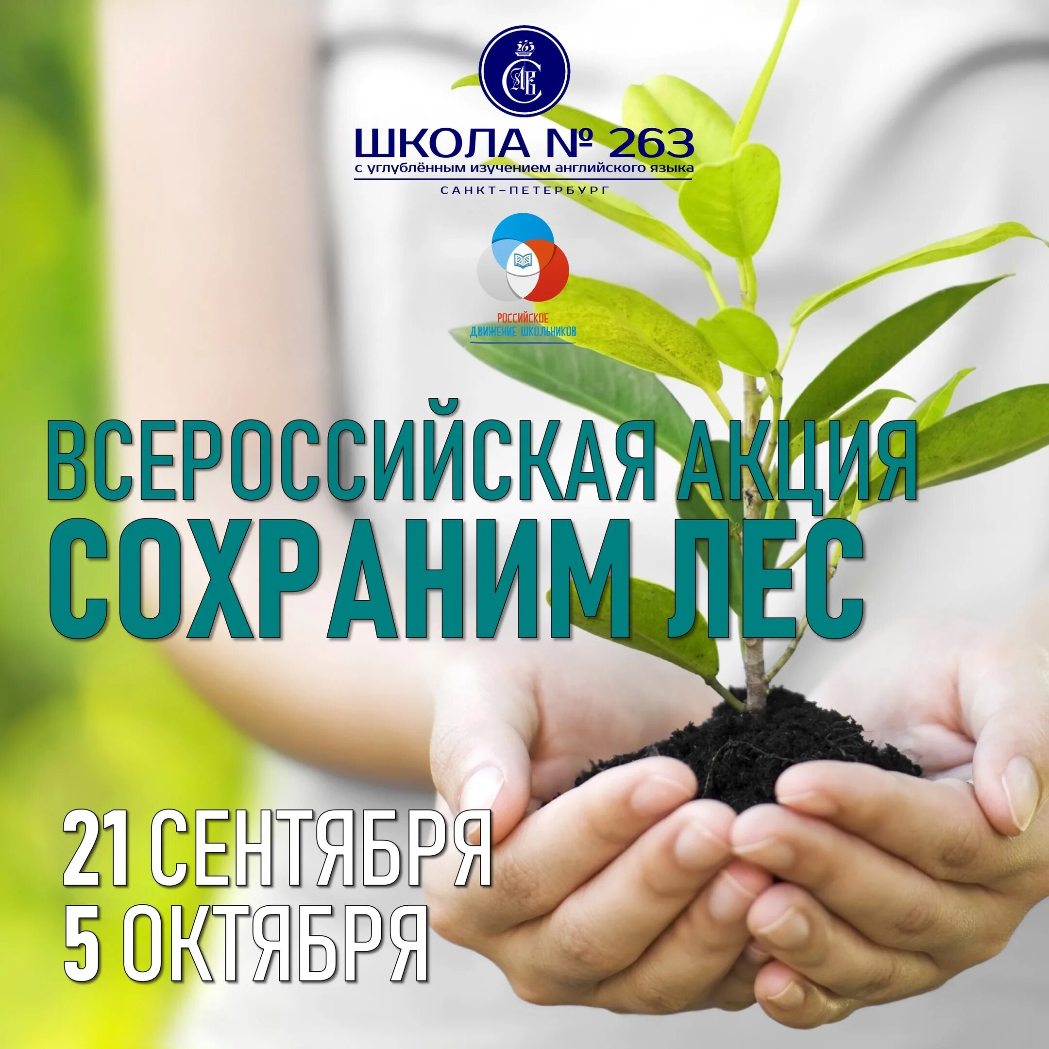 Сохрани жизнь дереву. Акция сохраним лес. экологическая акция. сохраним экологию акции. всероссийские экологические акции.