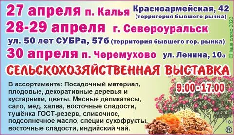 Расписание автобусов североуральск