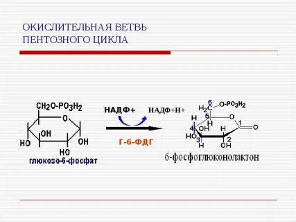 Ветвь процесса