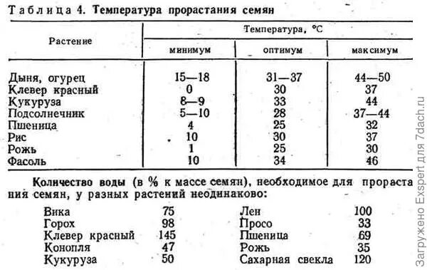 Лабораторная работа всхожесть семян. Температура прорастания семян таблица. Оптимальная температура для прорастания семян. Сроки прорастания семян таблица овощей. Необходимая температура почвы для прорастания семян.