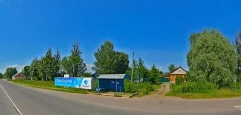 Старая русса дубовицы