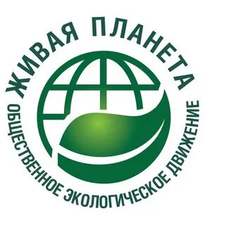 Проект экологическое движение