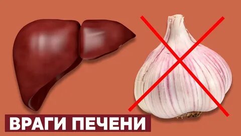 Лук чеснок печень