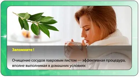 Лавровый лист для выкидыша