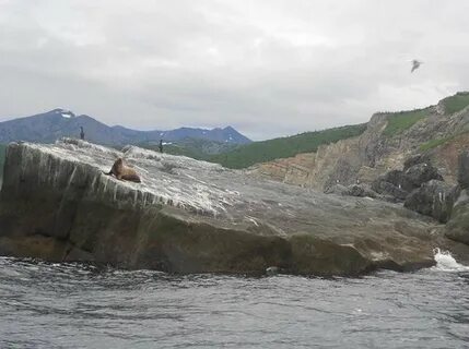 Джугджурский заповедник