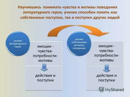 Потребности и мотивы поведения