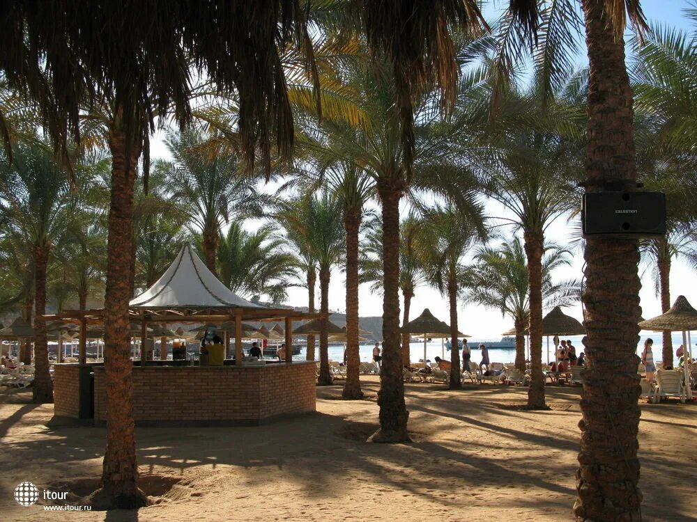 Отель сети Шарм Шарм-Эль-Шейх. Отель Dessole Seti Sharm Resort 4. Египет Шарм-Эль-Шейх отель сети Шарм 4*. Отель Сити Шарм Шарм-Эль-Шейх в Египте.