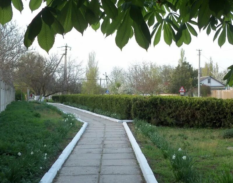 Официальный сайт Раздольненской Райгосадминистрации - Фотогалерея