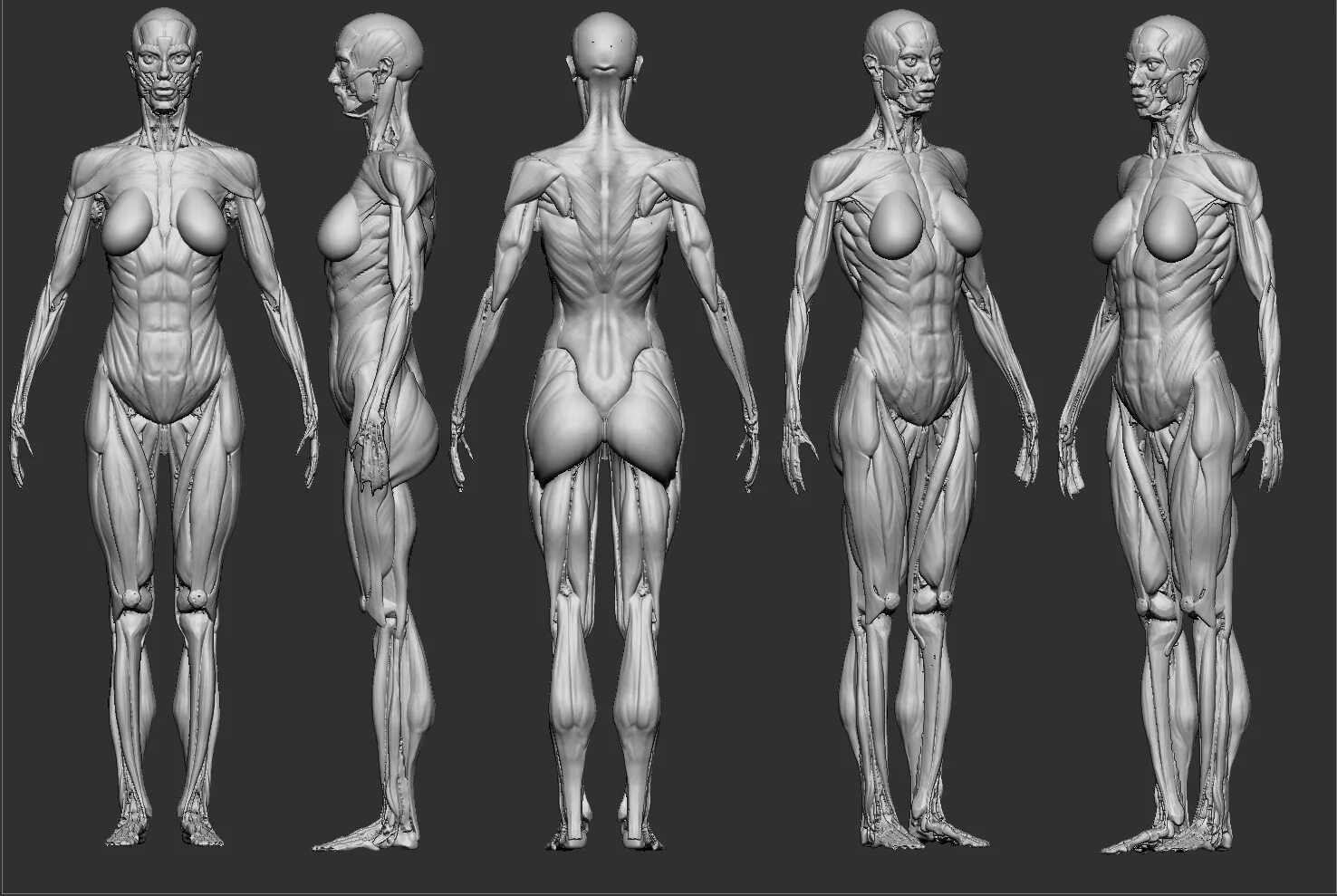 Di anatomia актеры. Васкулит головного мозга мрт. Картина anatomie fig 6. Prof di anatomia. Атлас анатомия человека редакция паульсена соботта.