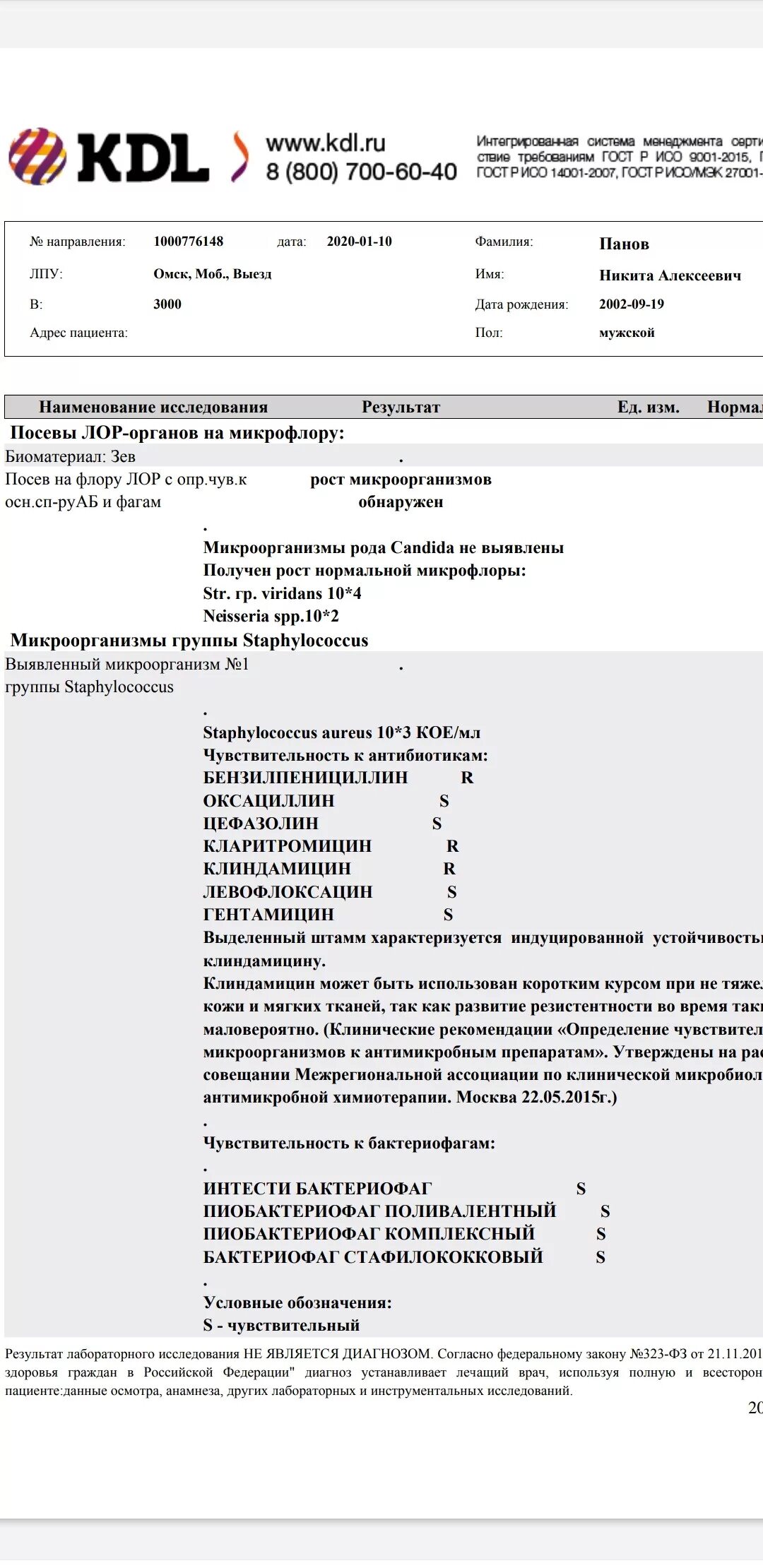 Посев лор органов. Посев на флору мазка из зева КДЛ. Исследование на дифтерию из зева и носа. Анализ на дифтерию из зева. Результат исследования на дифтерию.