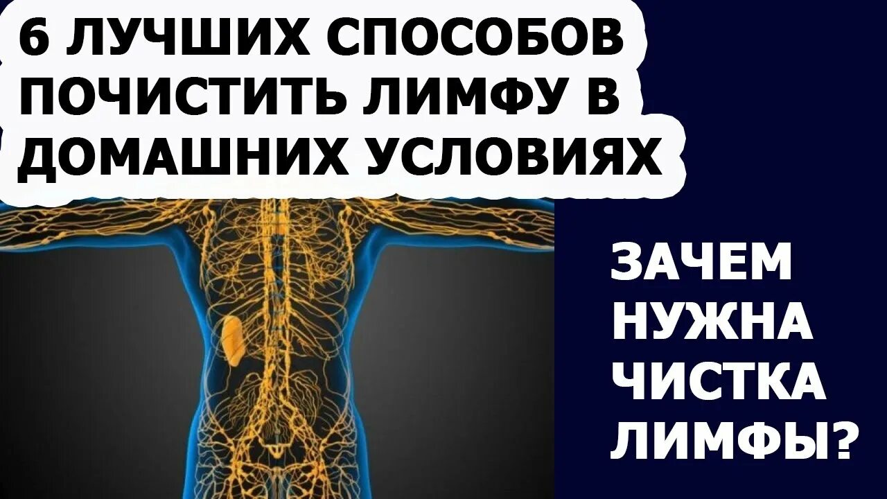 Как почистить лимфатическую систему. Лимфосистема человека как почистить. видео как чистить лимфу. чистим лимфу видео.