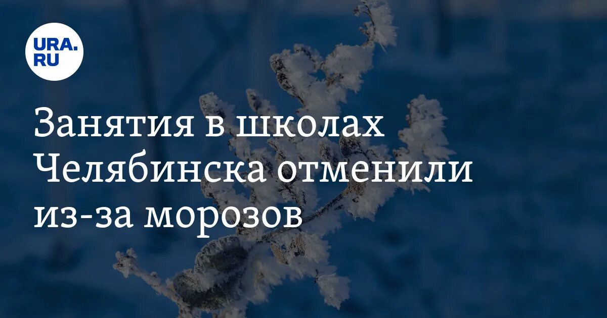 Отмена занятий Челябинск. Отмена занятий в школах. Отмена школ в Челябинске. Отмена занятий Челябинск сегодня. 20 февраля отмена занятий в школах челябинска