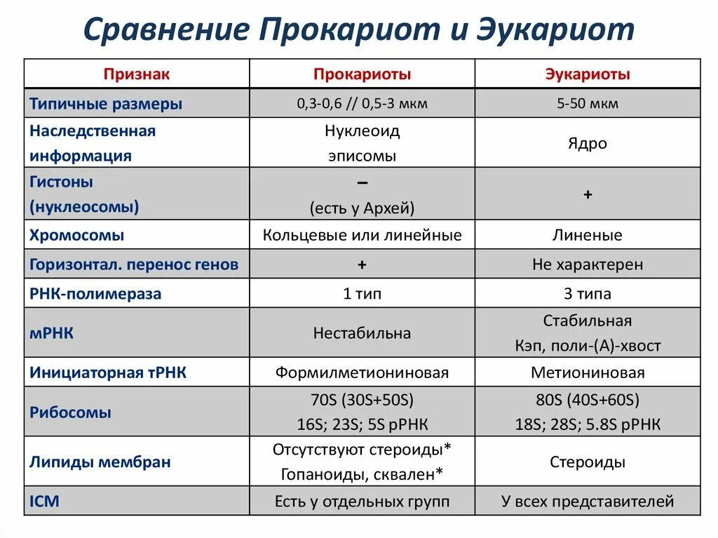 Основные признаки прокариот. Различия прокариот и эукариот таблица. Общие черты организации прокариот и эукариот. Отличие прокариот от эукариот таблица. Общие черты и различия прокариот и эукариот.