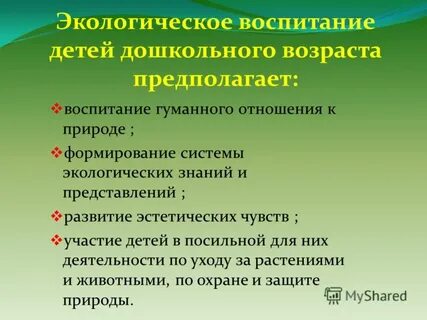 Процесс экологического образования дошкольников