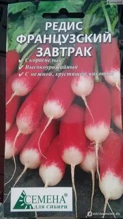 Редис сибири