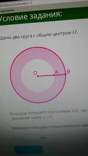Площадь меньшего круга равна