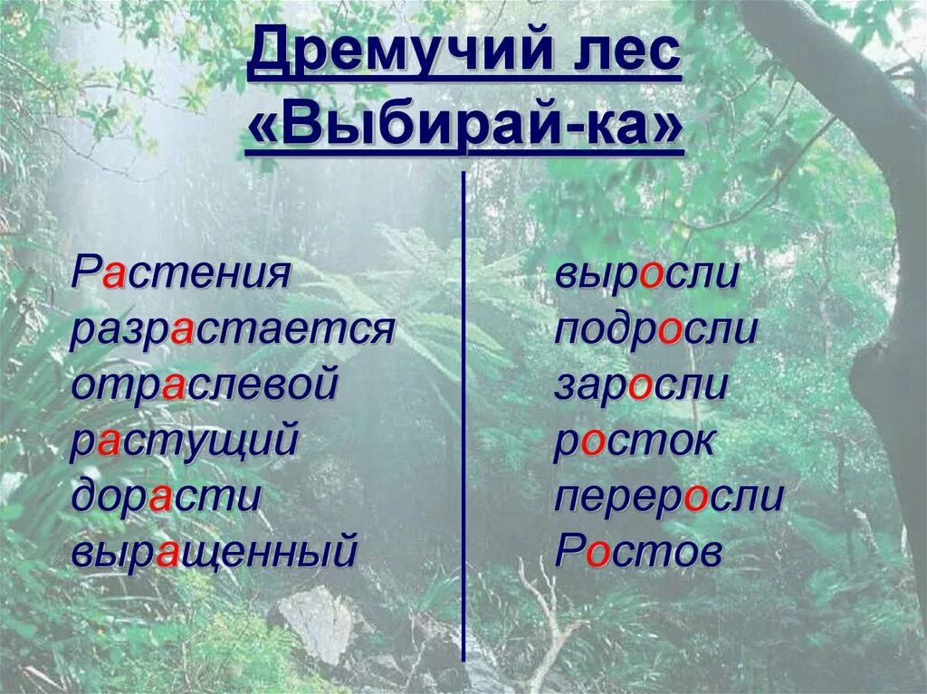 Синоним к слову дремучий лес. Дремучий лес синонимы к слову дремучий. Синонимы к слову лес. Подбери синонимы дремучий лес. Антоним к слову дремучий