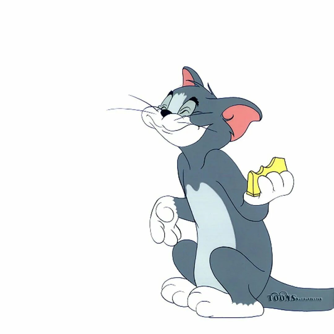Том и джерри картинки. Tom i Jerry. Томас том и Джерри. Джерри из том и Джерри на белом фоне. Том из том и Джерри в полный рост.