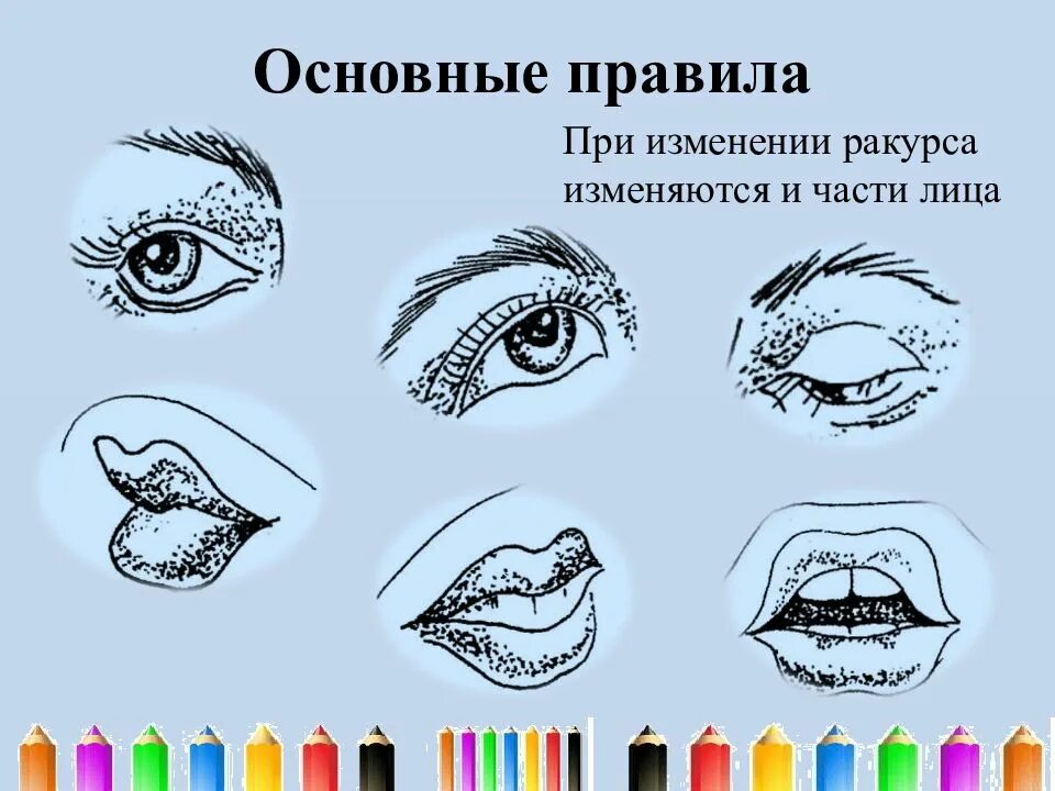 Изображение головы в пространстве изо 6 класс. Изображение головы человека в пространстве 6 класс. изображение головы человека в пространстве презентация. урок изо изображение головы человека в пространстве. изображение головы в пространстве по изо.