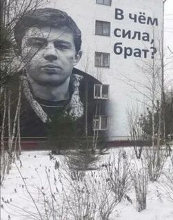 Дом в чем сила брат