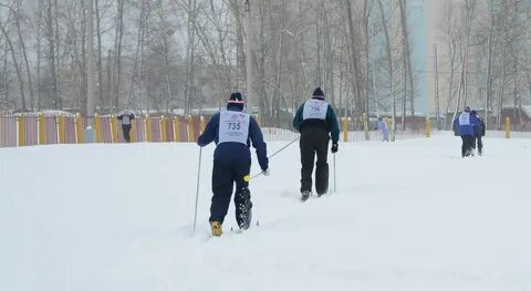 Кострома лыжня