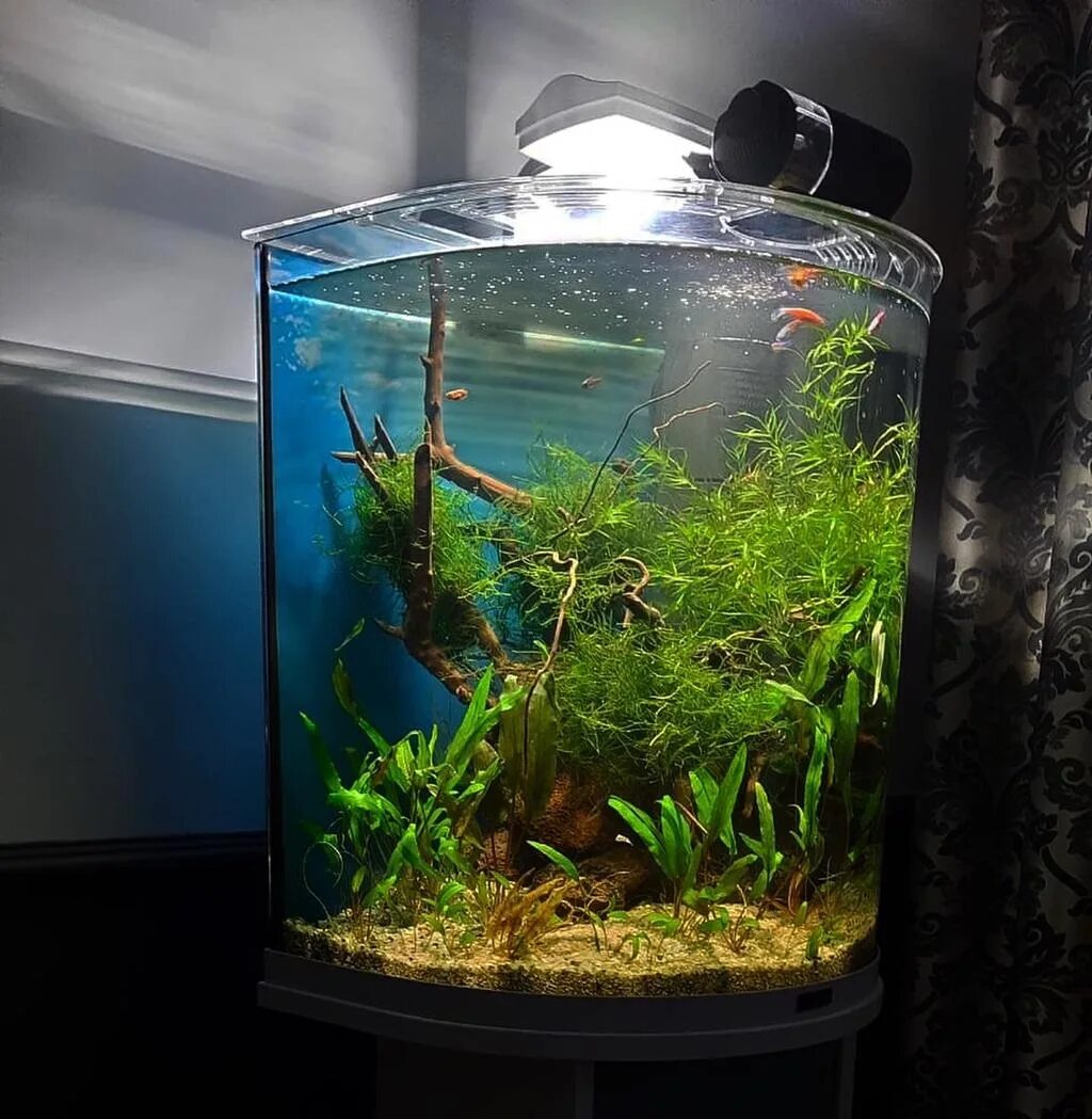Аквариум aquaart 60л. Аквариум tetra 60. Тумба tetra под аквариум 60. Tetra aquaart led explorer line aquarium set 60l. Tetra aquaart аквариум 60л.