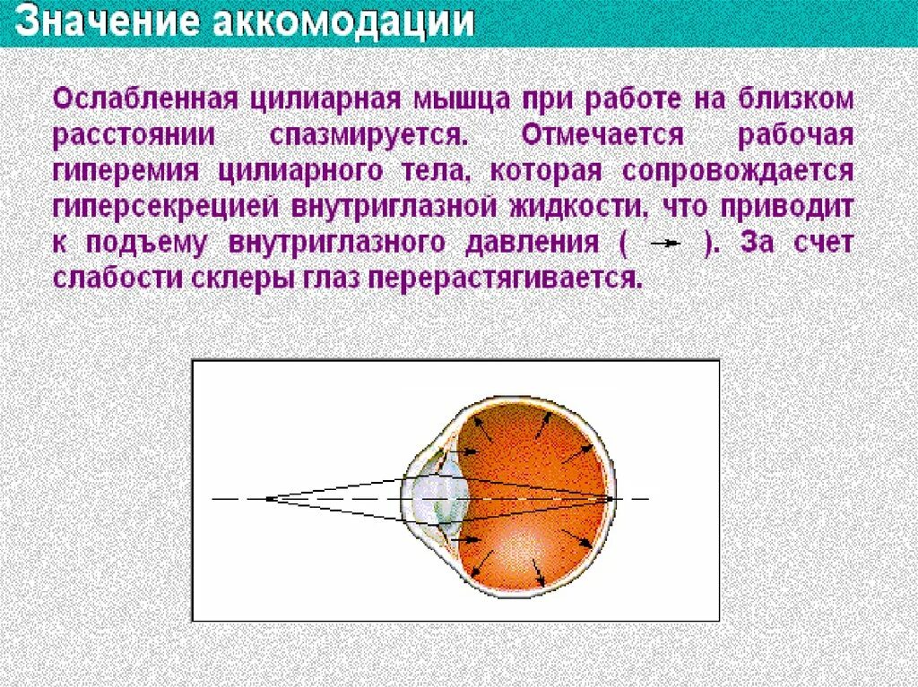 Рефракция и аккомодация. Аккомодация глаза. Механизмы аккомодации и рефракции. Аккомодация это в офтальмологии. Расстояние аккомодации