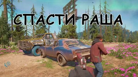 Найди раша