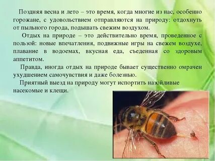 Если укусила оса или пчела что делать