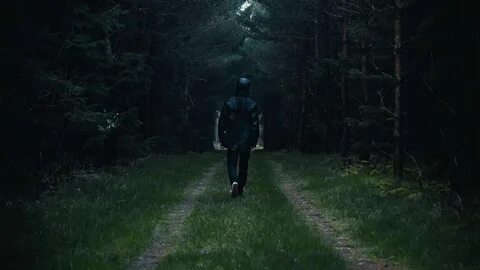 Video woods