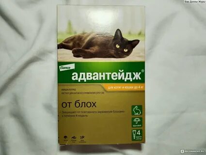 Нос по ветру петрозаводск