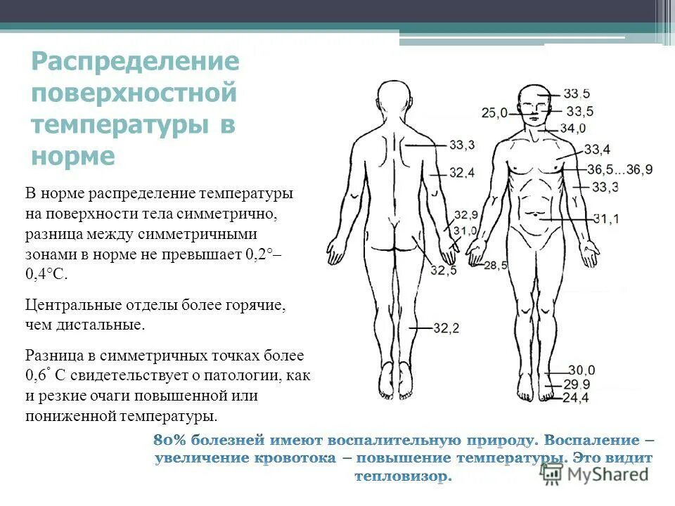 Площадь тела человека около 1 м2. Площадь тела человека около 1 м2