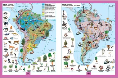 Животный мир северной америки карта