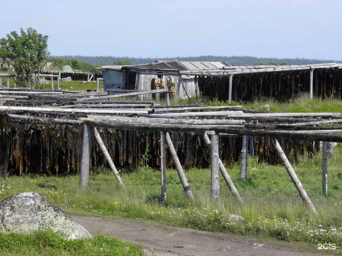 Водорослевый комбинат Архангельск. Архангельский опытный водорослевый комбинат. Архангельский водорослевый комбинат в Архангельске. Водорослевый завод в Архангельске.