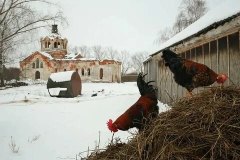 Погода в какино