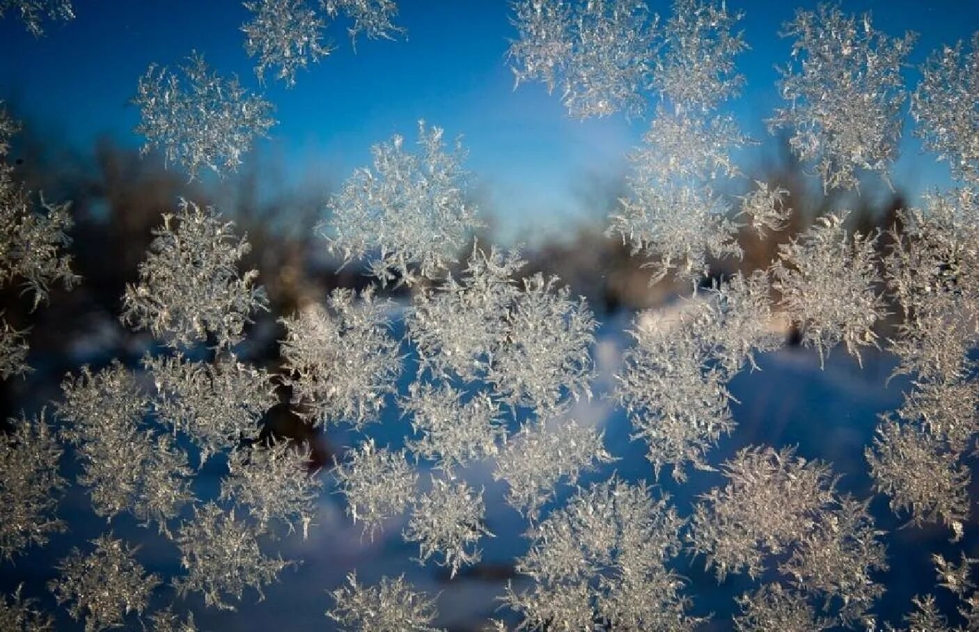 Снежинки снежок. Снежинки в природе. Снежные узоры. Зимние снежинки. Зима снежинки.