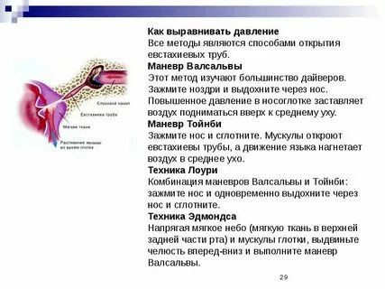 Выравниватель давления