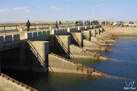 Море дамба
