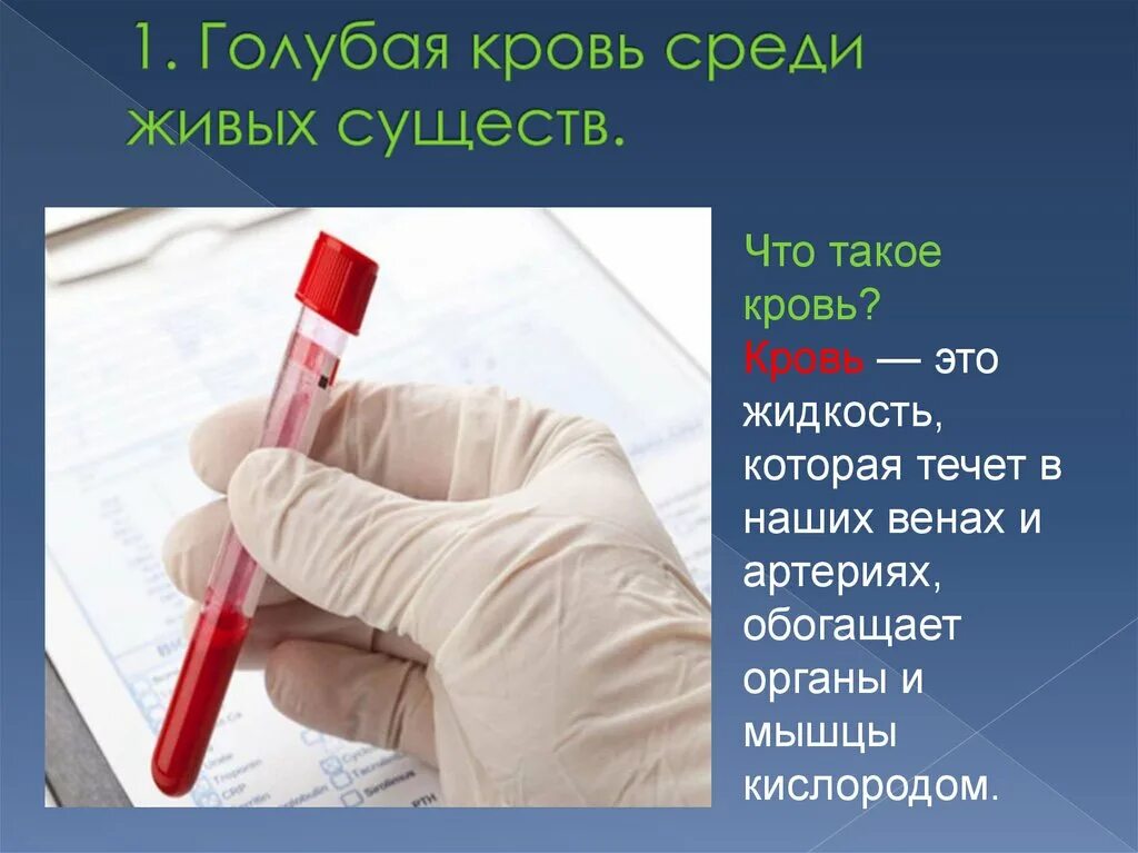 Откуда выражение голубых кровей