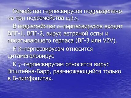 К герпесвирусам относятся