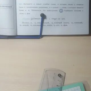 Цифра синоним
