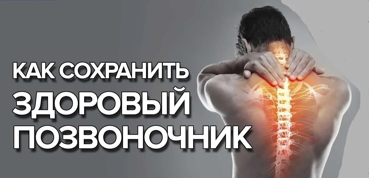 Здоровая спина. Здоровый позвоночник. Здоровый позвоночник рисунок. Здоровый позвоночник видео. Позвоночник.