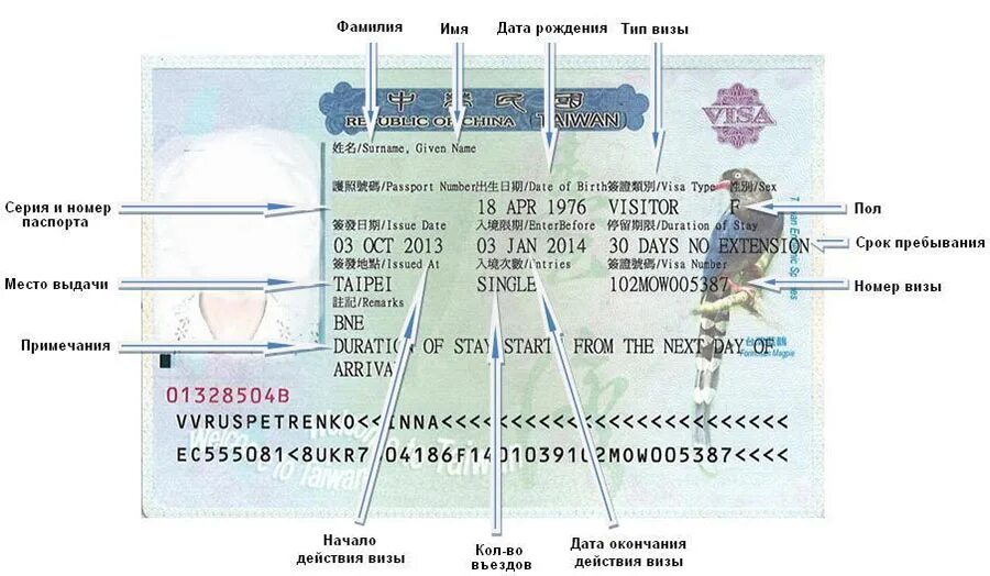 Где указывается срок