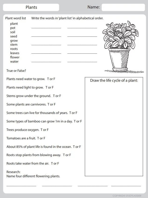 Plant Word. All about Plants ответы. Reading task to Plants. Scientific Journal for Kids. Plants task