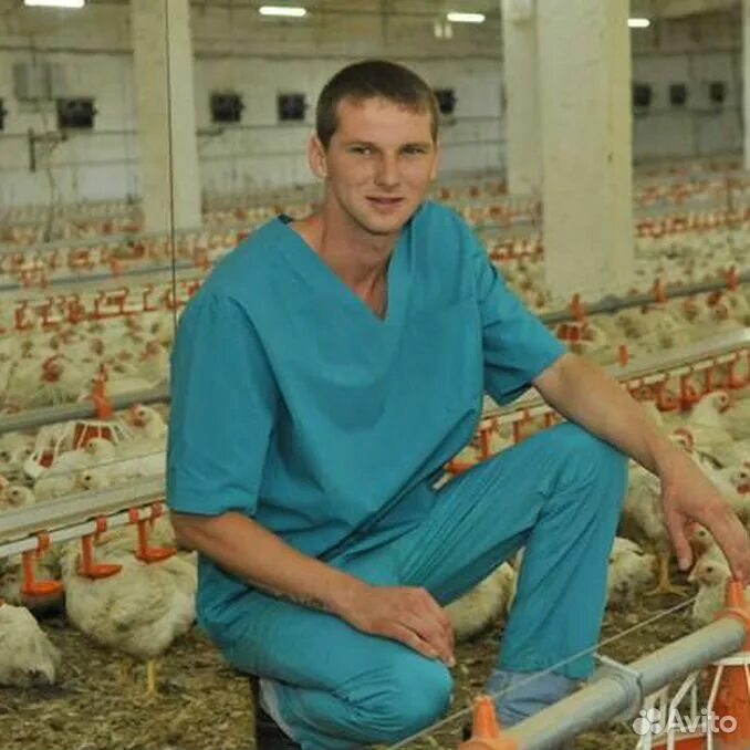 Управляющий птицефабрики