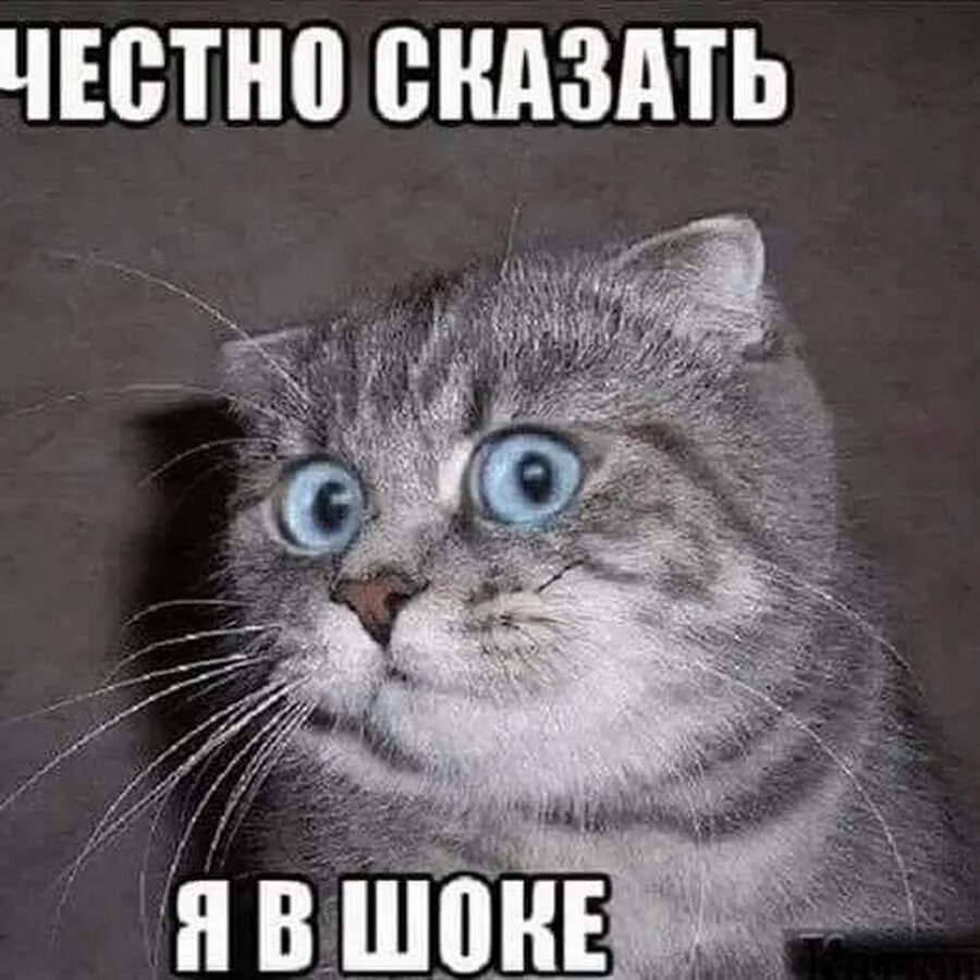 i?id=1f60eb59a4804c998f07cd0a32404c2a_l-