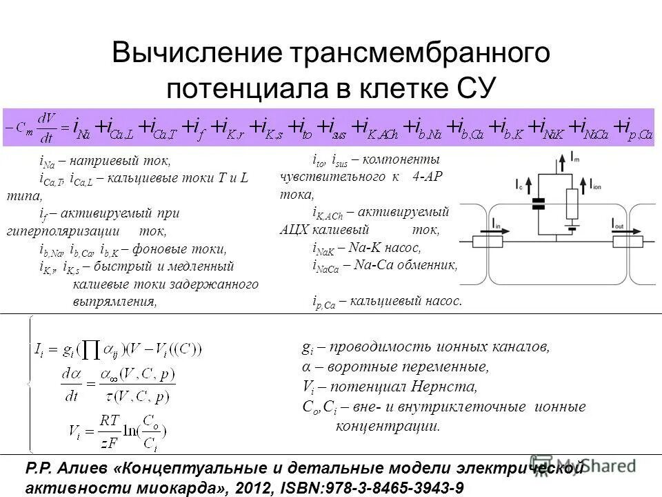 Потенциальная переменная. Трансмембранный потенциал. Трансмембранный потенциал клетки. Понятие «трансмембранный потенциал»..