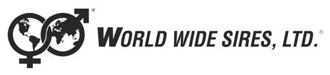 World is wide