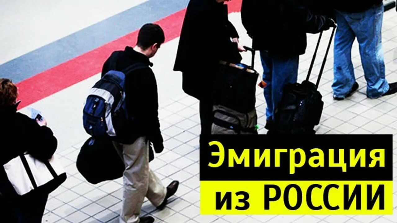 Эмигранты из России. Эмиграция россиян. Современные эмигранты из России. Эмиграция молодежи из России.